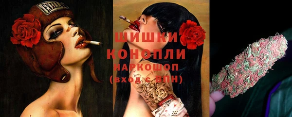 индика Балахна