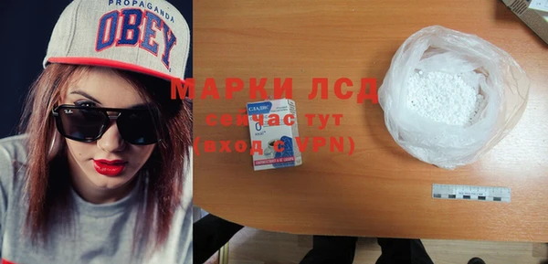 индика Балахна