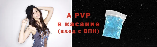 индика Балахна