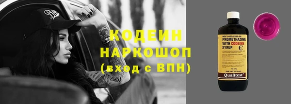 индика Балахна