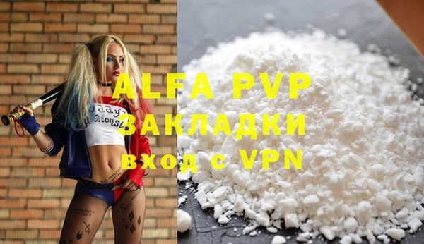 индика Балахна