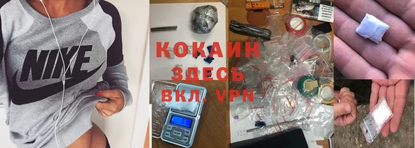 шишки Балабаново